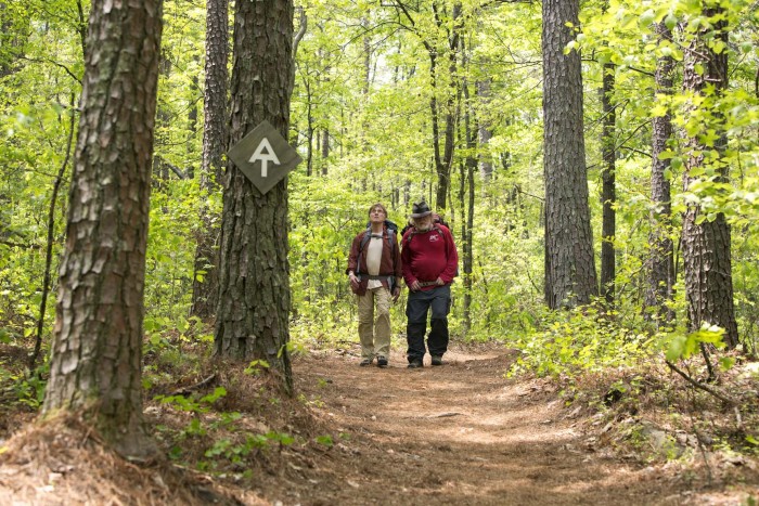 DF-00395_R (l to r) Robert Redford stars as Bill Bryson and Nick Nolte as Stephen Katz hiking the Appalachian Trail in Broad Green Pictures upcoming release, A WALK IN THE WOODS. Credit: Frank Masi / Broad Green Pictures
